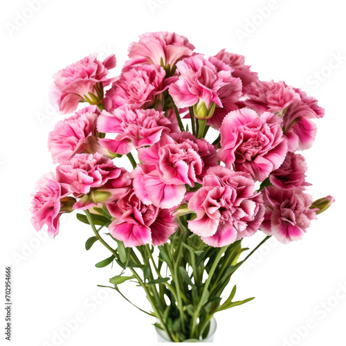Sweet William Bouquet: Gallantry © kanyarat