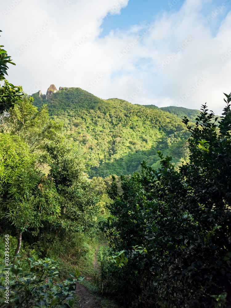 Cerro Turega 