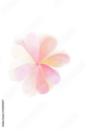 Watercolor flower on transparent background.