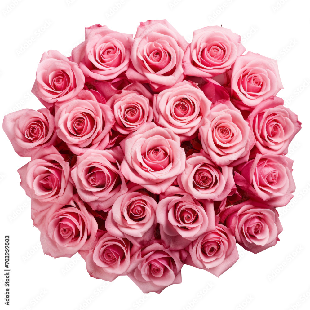 100 Rose Pink Rose Sweetness and admiration 100 Rose Pink Rose Sweetness and admiration