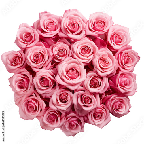 100 Rose Pink Rose  Sweetness and admiration