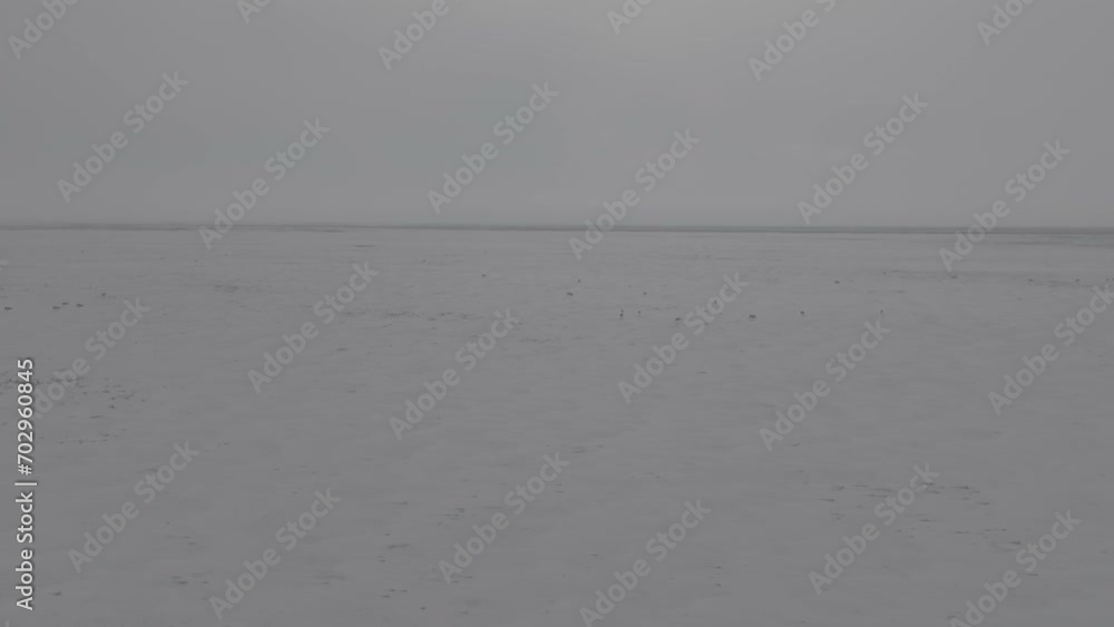Saigas in winter during the rut. A herd of Saiga antelope or Saiga tatarica walks in snow - covered steppe in winter. Antelope migration in winter. Slow motion video, 10 bit ungraded D-LOG Saigas in winter during the rut. A herd of Saiga antelope or Saiga tatarica walks in snow - covered steppe in winter. Antelope migration in winter. Slow motion video, 10 bit ungraded D-LOG