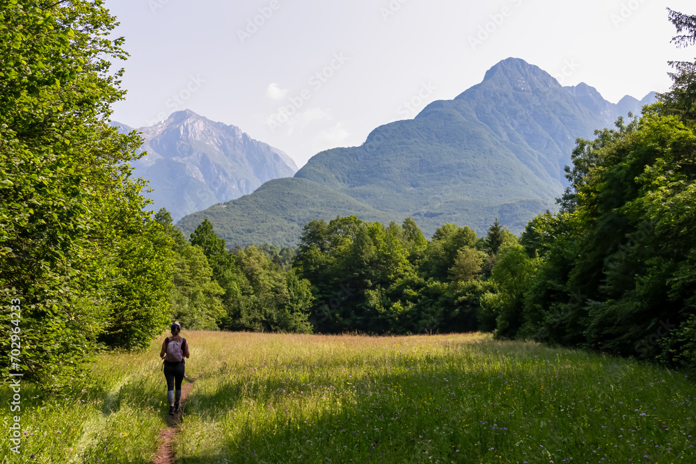 Hiker woman on scenic hiking trail on alpine meadow looking at mount Svinjak in Bovec, Julian Alps, Slovenia. Majestic mountain peaks in serene Soca valley. Wanderlust hiking in untamed Slovenian Alps