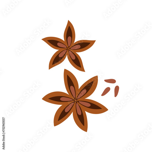 Star anise. illustration of aromatic spice in flat style on white background.