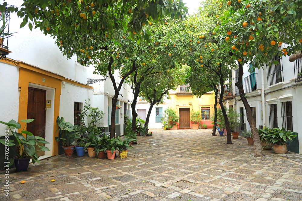 Fototapeta premium sevilla patio andaluz de casas de barrio 4M0A5575-as24