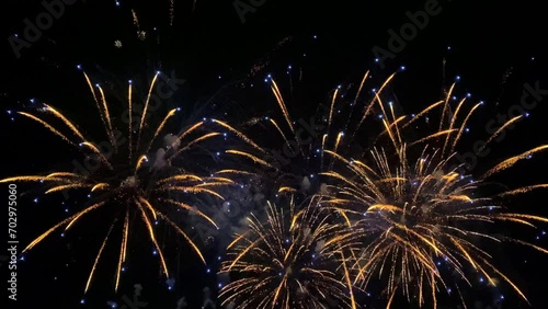 Colorful celebration fireworks on a black sky background