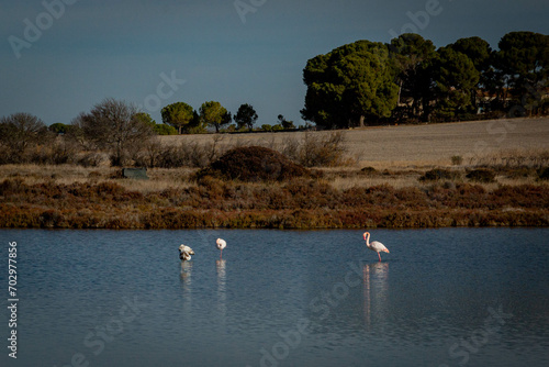 Vues des anciennes Salines de Villeneuve lès Maguelonne dans l'Hérault