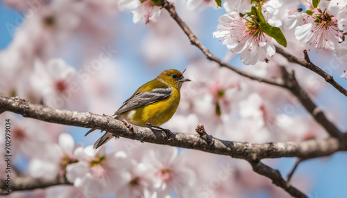 A majestic bird enjoying cherry blossoms and birdsong on a beautiful day.