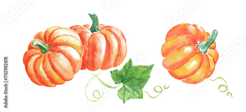 Watercolor hand painted illustration of  pumpkin  orange vegetables   pumpkins with leaves  Halloween   vegetarian food  watercolor illustration 