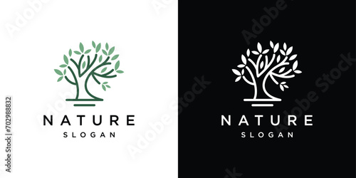 This beautiful Tree vector logo is a symbol of life, beauty, growth, strength and good health.tree logo made with lines
