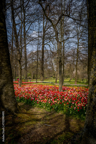 The Floralies of Groot Bijgarden