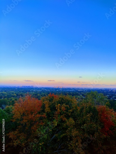 City Skyline Autumn