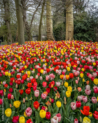 The Floralies of Groot Bijgarden