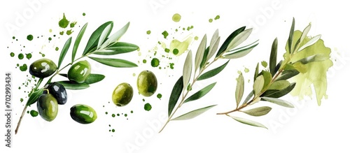Olive flags and stains isolated on white background. photo