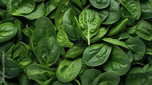  a close up of a bunch of green spinach leaves with drops of water on the tops of the leaves.