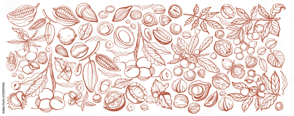Big isolated vector set of nuts.Nuts and seeds collection.Vector hand drawn brown objects. Peanuts, cashews, walnuts, hazelnuts, cocoa, almonds, chestnut, pine nut, nutmeg, peanut, macadamia, coconut. Big isolated vector set of nuts.Nuts and seeds collection.Vector hand drawn brown objects. Peanuts, cashews, walnuts, hazelnuts, cocoa, almonds, chestnut, pine nut, nutmeg, peanut, macadamia, coconut.