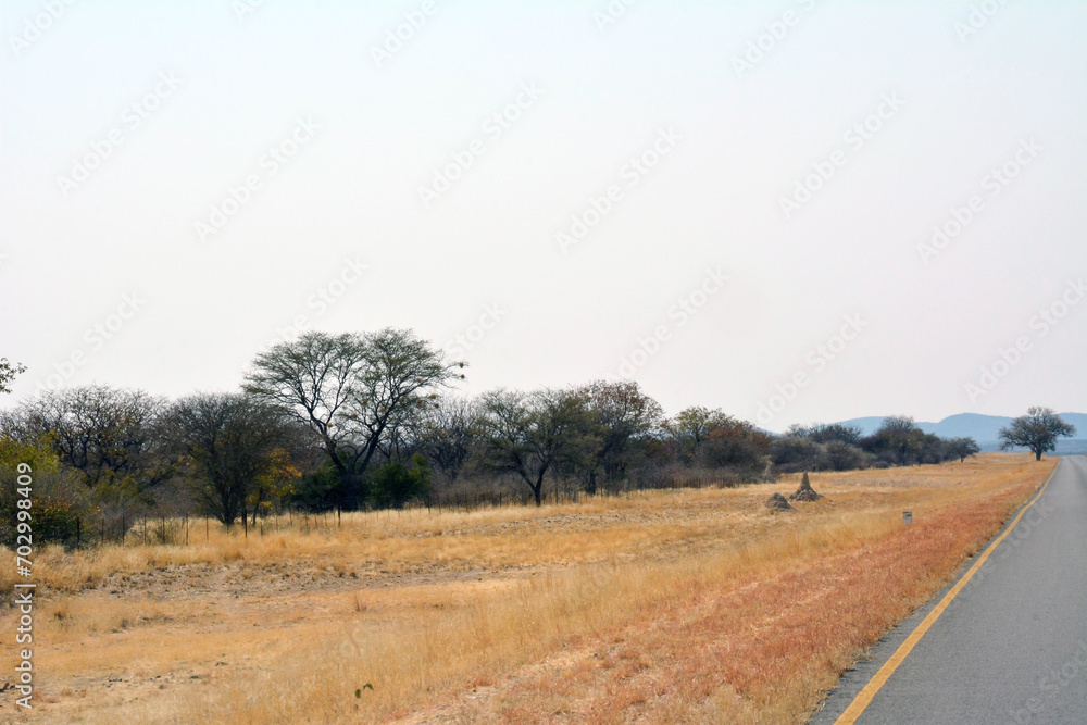 Fototapeta premium A deserted stony road in the hot desert foothills under a bright blue sky