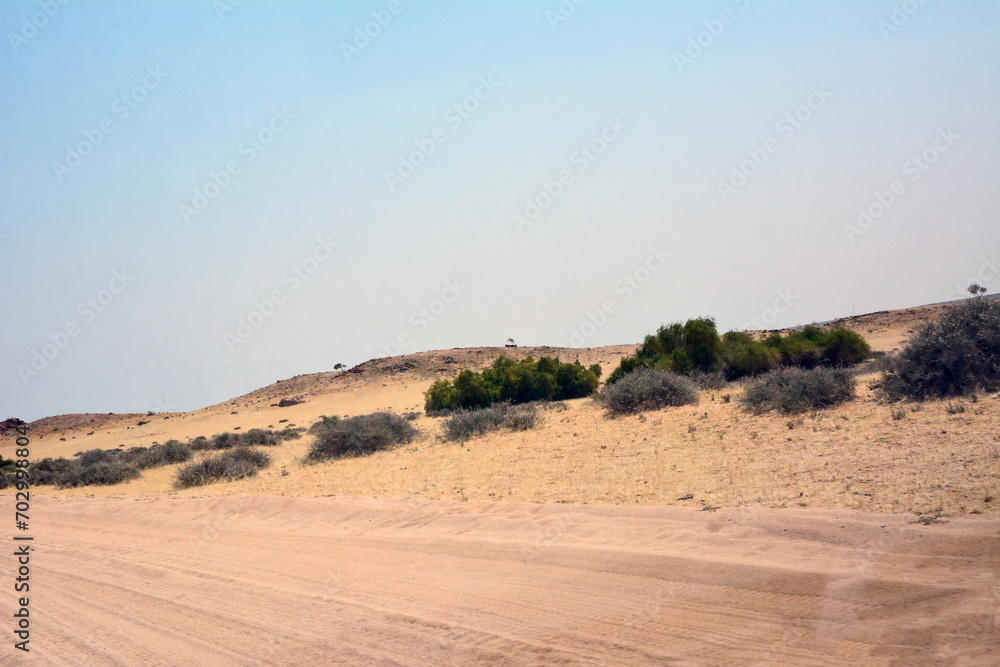 A dirt road in a desert area in perspective against a background of low trees and a blue sky A dirt road in a desert area in perspective against a background of low trees and a blue sky