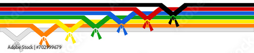 Karate judo taekwondo martial arts belts process