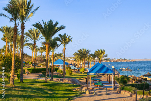 Beautiful view of Red Sea Sharm El sheik Egypt. View of the beach and palm tress on a sunny day. photo