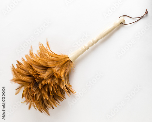 Brush for removing dust from bird feathers. Sweep, broom. Pipidastr