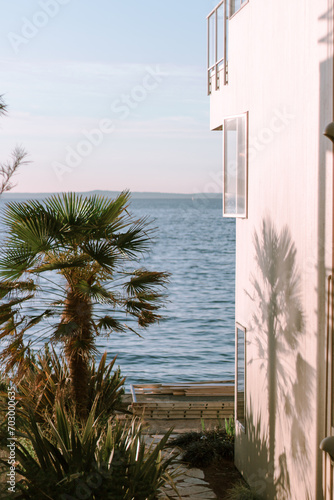ocean front house with palm tree