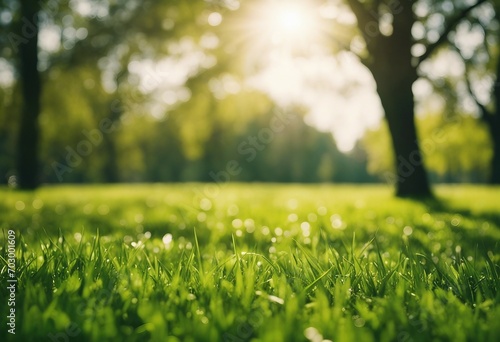 Spring and nature background concept Closeup green grass field with blurred park and sunlight