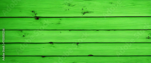 Vintage Neon Green Painted Wooden Background Banner