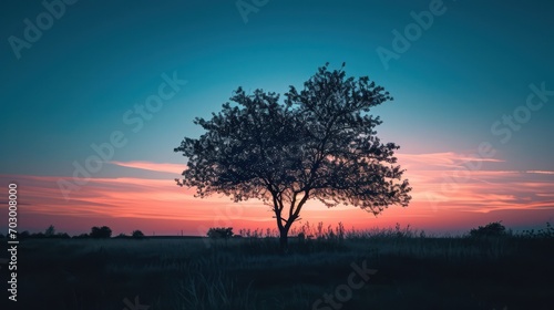A beautiful view of the sunrise during the blue hour  with the silhouettes of trees against a sky blushing in shades of blue and violet