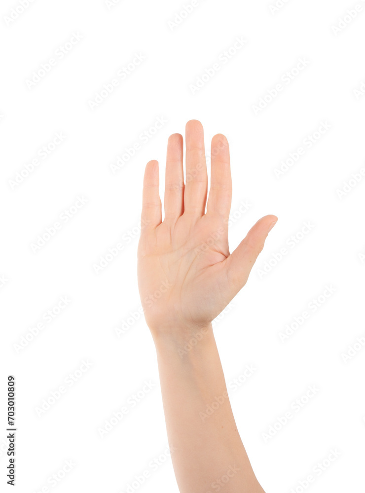 Raised hand isolated on transparent png background with clipping paths. Participate or voting. Raised hand isolated on transparent png background with clipping paths. Participate or voting.