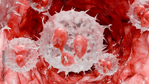 Neutrophiles type Leukocyte cell, phagocytosis, white blood cells in vein, Neutrophil, medical human health, destruction of the virus and microb infections, granulocytes, polymorphonuclears, 3d render photo