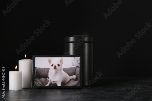 Frame with picture of dog, mortuary urn and burning candles on dark background. Pet funeral