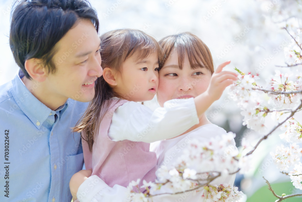 花見をする女の子と家族 花見をする女の子と家族
