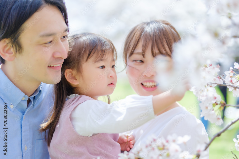 花見をする女の子と家族 花見をする女の子と家族