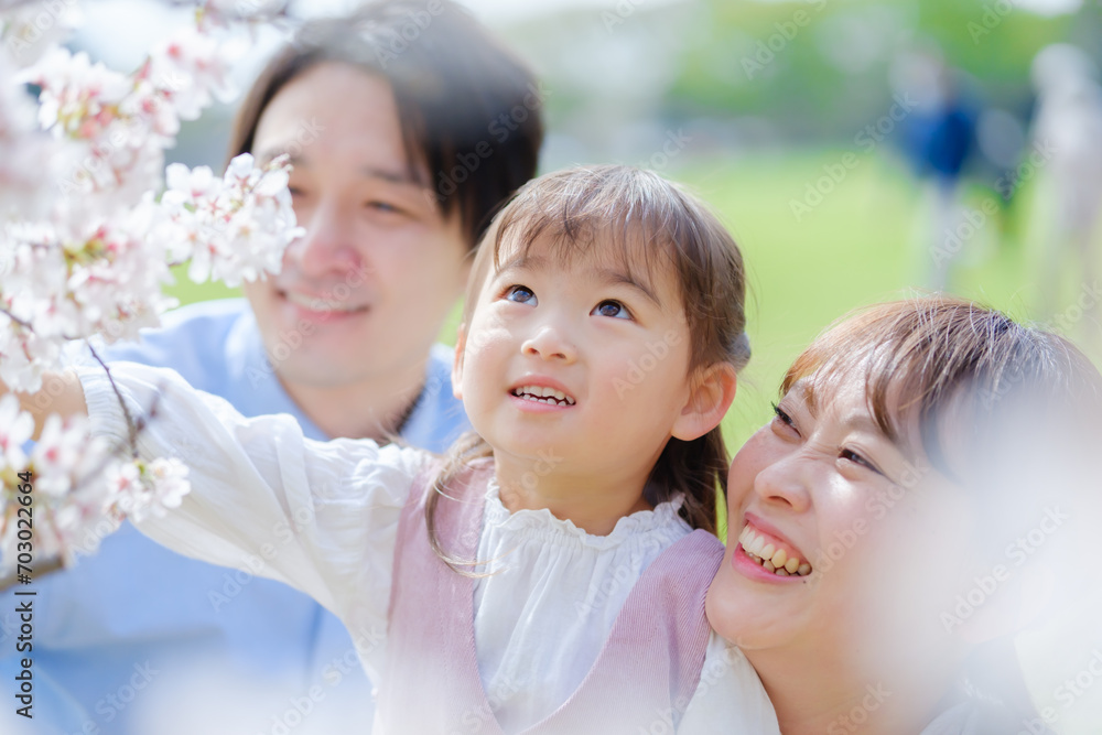 花見をする女の子と家族 花見をする女の子と家族