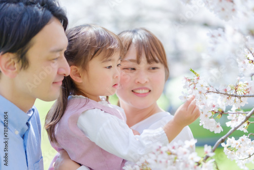 Cuadro en lienzo 花見をする女の子と家族