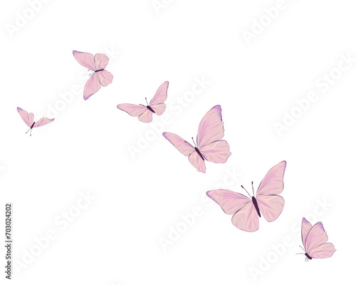 pink and white butterflies