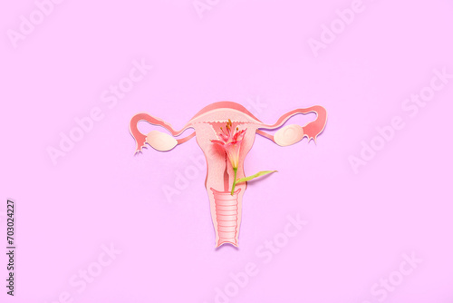 Paper uterus with flower on pink background. Menopause concept