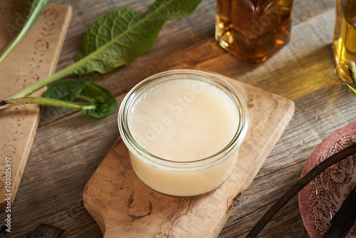 Homemade comfrey ointment made of knitbone root and rendered pork lard photo