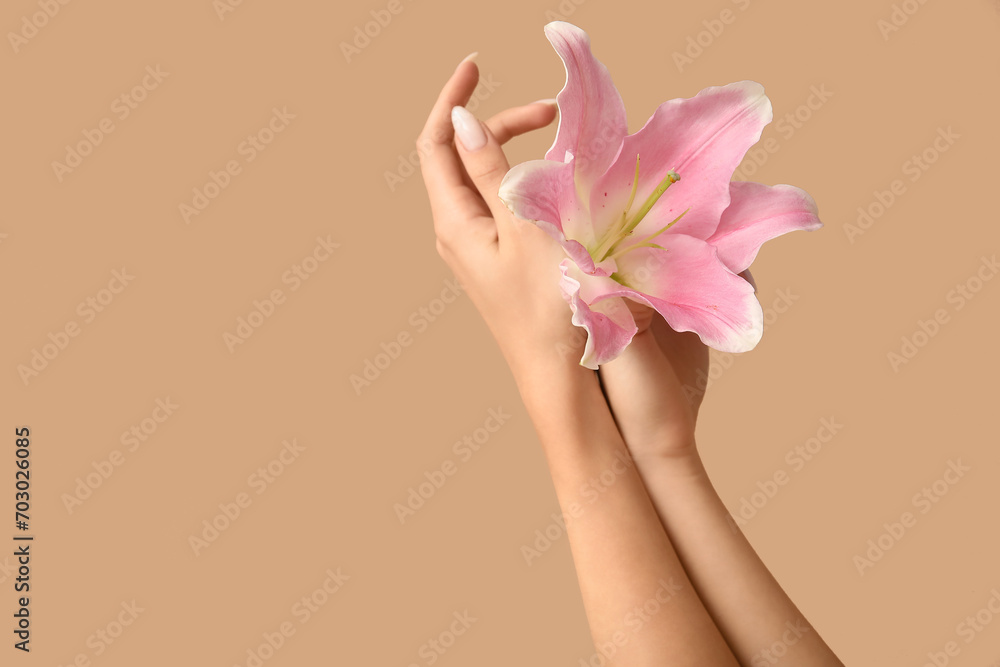 Female hands with beautiful pink lily flower on color background