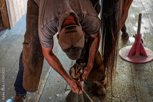 Εκτύπωση καμβά Male farrier using nipper tools on bay thoroughbred gelding's rear hoof to prepare for shoeing