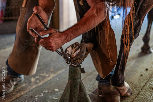 Male farrier using nipper tools on bay thoroughbred gelding's rear hoof to prepare for shoeing. photo