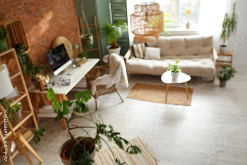 Blurred view of office with workplace  green plants and sofa