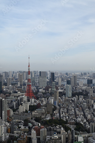 City view of Tokyo from Roppongi Hills