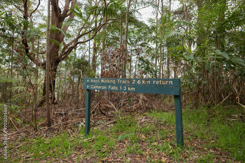 Direction sign along the Knoll walking track within Tamborine National Park, Queensland, Australia Direction sign along the Knoll walking track within Tamborine National Park, Queensland, Australia