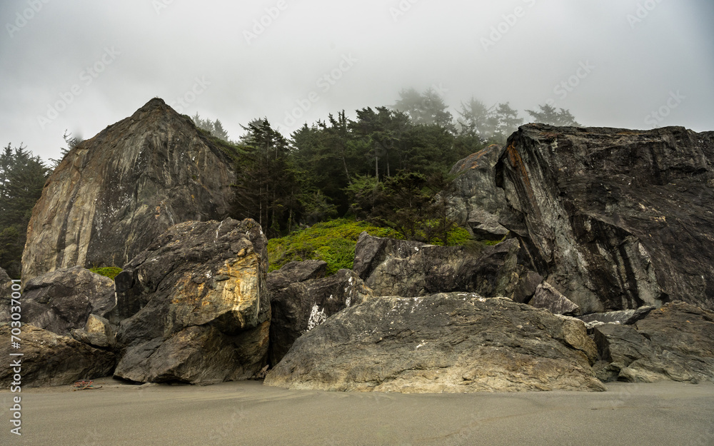 Large Boulders Mark The Transition From Beach to Forest Along California Coast Large Boulders Mark The Transition From Beach to Forest Along California Coast