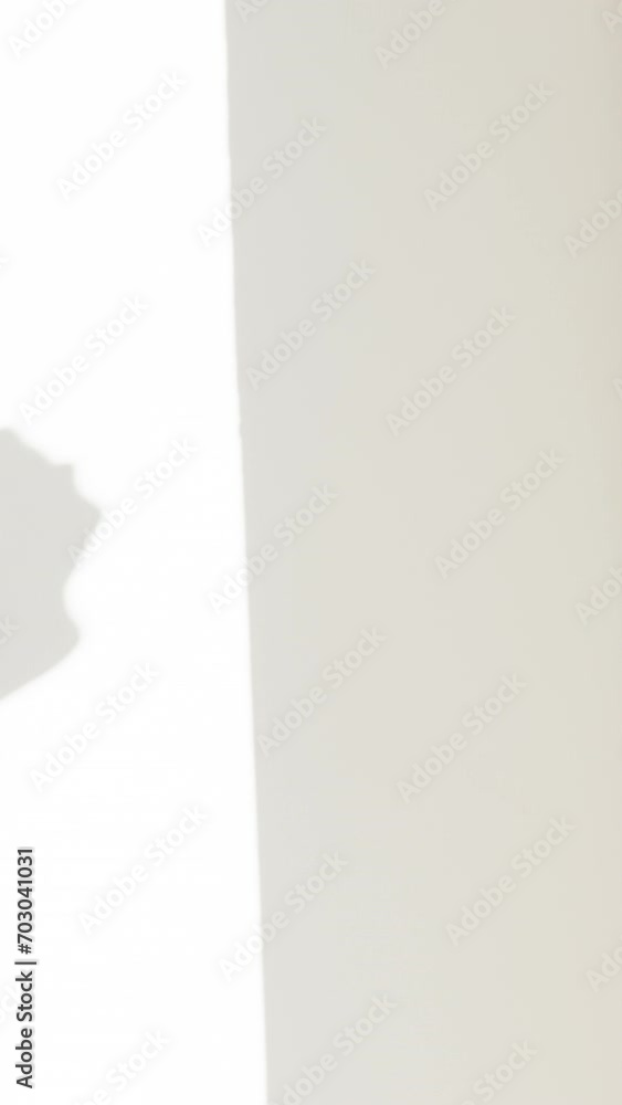 Vertical video. Shadow from a Hand on a White Wall, Sunlight and Hand Gestures. Vertical video. Shadow from a Hand on a White Wall, Sunlight and Hand Gestures.