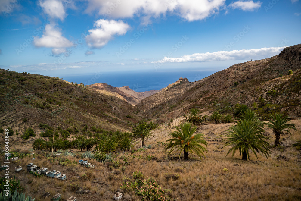 la gomera, landscapes of la gomera, palm trees on the slopes of la gomera,