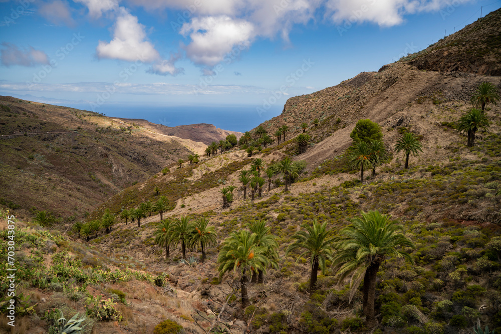 la gomera, landscapes of la gomera, palm trees on the slopes of la gomera,