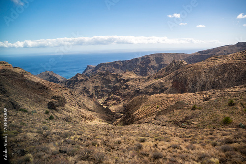 la gomera, landscapes of la gomera, palm trees on the slopes of la gomera,
